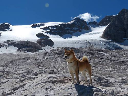 “未来之星”青少年篮球明星评选在北京正式启动,激发青年潜能