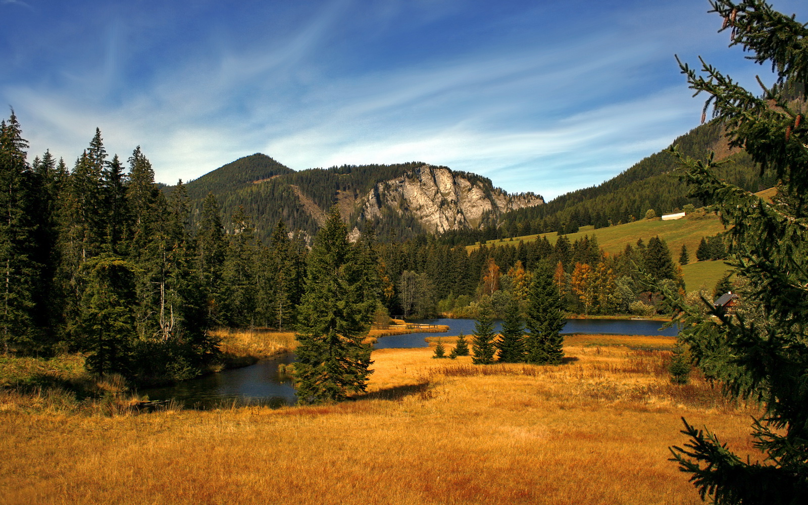 “中国足球产业持续融合发展,市场潜力巨大”,中国足球产业发展报告
