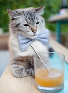 九游APP官网-云达不莱梅奋力追赶，战绩稳步提升，云达不莱梅vsrb莱比锡